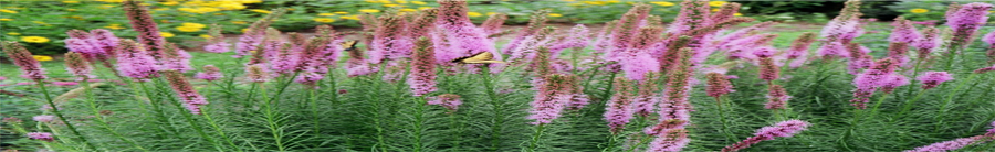 Maywood Estates, Bridgewater, CT